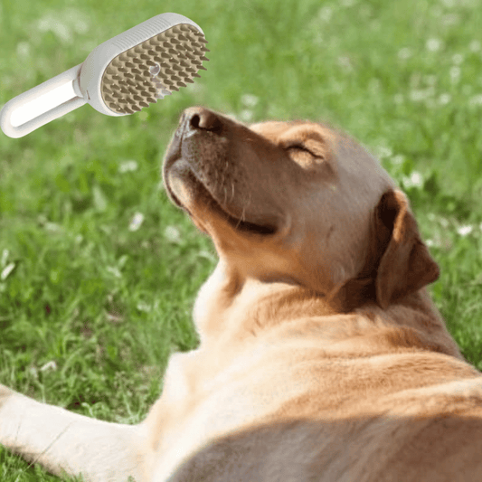 Cepillo vaporizador para Mascotas